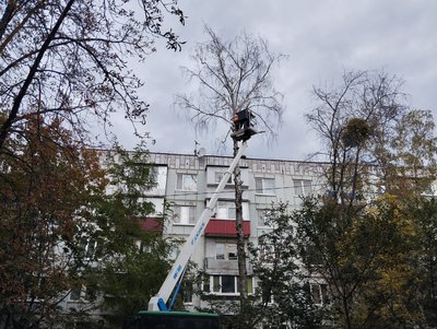 У Полтаві, аби уникнути нещасних випадків, пришвидшили спилювання аварійних дерев У Полтаві, аби уникнути нещасних випадків, пришвидшили спилювання аварійних дерев