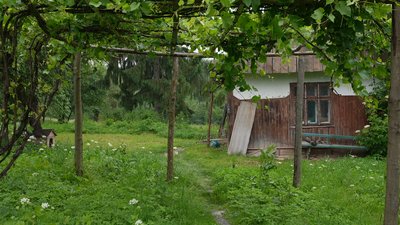 Криївка, УПА, Зруб Криївка, УПА, Зруб