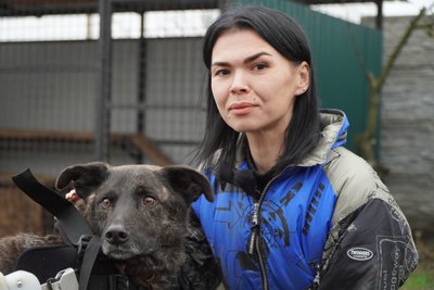 З перебитим хребтом та осколками у кінцівках: до притулку на Дніпропетровщині з-під обстрілів евакуювали двох собак З перебитим хребтом та осколками у кінцівках: до притулку на Дніпропетровщині з-під обстрілів евакуювали двох собак