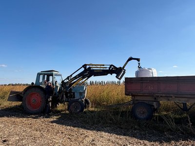 На Вінниччині сіють озиму пшеницю за технологією прямої сівби: як це економить пальне На Вінниччині сіють озиму пшеницю за технологією прямої сівби: як це економить пальне