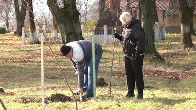 "Спільні зусилля принесуть багато плодів": як діти висаджували дерева на Рівненщині "Спільні зусилля принесуть багато плодів": як діти висаджували дерева на Рівненщині