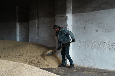 "Забронювали одного": як зміняться правила бронювання для аграріїв "Забронювали одного": як зміняться правила бронювання для аграріїв