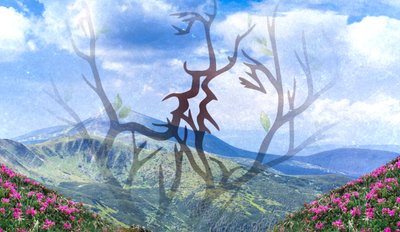 добірка_10-11_05 добірка_10-11_05