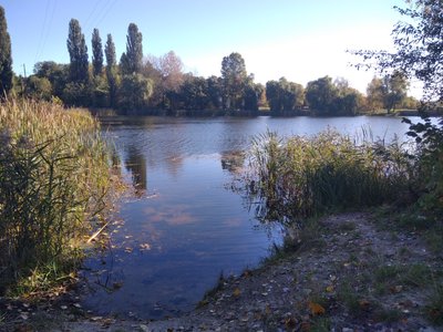 У Малинській громаді Житомирщини розміновують водойми У Малинській громаді Житомирщини розміновують водойми