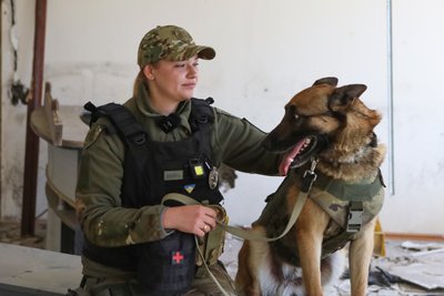 Чотирилапі герої: як собаки допомагають поліції Херсонщини під час війни Чотирилапі герої: як собаки допомагають поліції Херсонщини під час війни