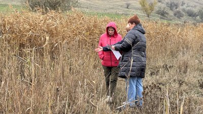 Малі річки Миколаївщини міліють: чому та куди вода зникає з русел Малі річки Миколаївщини міліють: чому та куди вода зникає з русел
