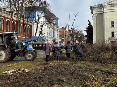 У Полтаві висадили клени на місці спиляних дерев У Полтаві висадили клени на місці спиляних дерев