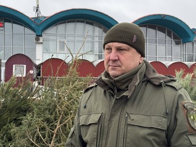 "Є документи на дерева?". Як у Сумах працює ялинковий базар