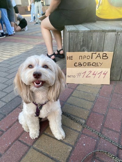 Люди третій день протестують проти закону №12414 щодо НАБУ та САП у Рівному Люди третій день протестують проти закону №12414 щодо НАБУ та САП у Рівному