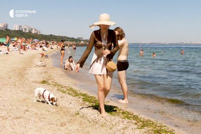 "Коли вода холодна – не хоче йти у воду": як одесити відпочивають із чотирилапими на Собачому пляжі "Коли вода холодна – не хоче йти у воду": як одесити відпочивають із чотирилапими на Собачому пляжі