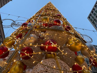 Ялинки у Дніпрі: де розмістили святкові дерева у місті