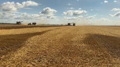 На Хмельниччині ранні зернові культури зібрали майже з 80 тисяч гектарів На Хмельниччині ранні зернові культури зібрали майже з 80 тисяч гектарів