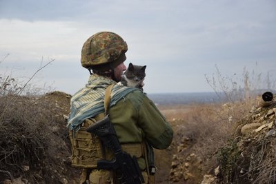 Воюють разом з нами: воїни 30 бригади з Житомирщини показали своїх фронтових тварин Воюють разом з нами: воїни 30 бригади з Житомирщини показали своїх фронтових тварин