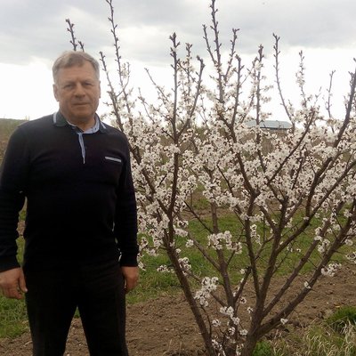 Микола Павлик Микола Павлик