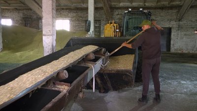"Ми розраховували на 800 кілограмів, зараз маємо 500": який потенціал для вирощування гарбузів на Хмельниччині "Ми розраховували на 800 кілограмів, зараз маємо 500": який потенціал для вирощування гарбузів на Хмельниччині