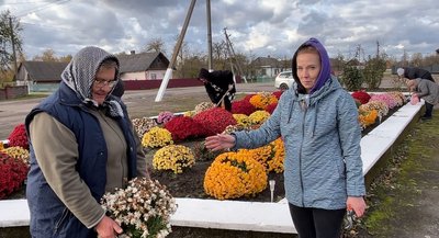 Кулясті хризантеми із центральної клумби села розіграли за донати на ЗСУ на Рівненщині Кулясті хризантеми із центральної клумби села розіграли за донати на ЗСУ на Рівненщині