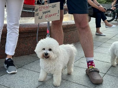Черкасці зібралися на акцію протесту через обмеження повноважень НАБУ І САП Черкасці зібралися на акцію протесту через обмеження повноважень НАБУ І САП