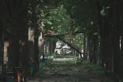30 м/с могли сягати пориви вітру у Харкові під час буревію 12 липня — синоптикиня 30 м/с могли сягати пориви вітру у Харкові під час буревію 12 липня — синоптикиня