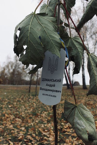 "У пам'яті я проросту…": у Житомирі відбулася акція в пам'ять про за-гиблих на фронті житомирян "У пам'яті я проросту…": у Житомирі відбулася акція в пам'ять про за-гиблих на фронті житомирян