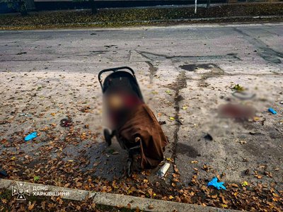 Донька Інни Мархни Ангеліна загинула під час російського удару Донька Інни Мархни Ангеліна загинула під час російського удару
