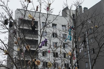 Речі на дереві після російських влучань в Харкові Речі на дереві після російських влучань в Харкові