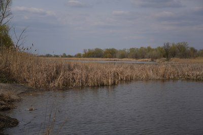 "Водойми — це дуже вразливі екосистеми". Чому на Дніпропетровщині зникають озера та чи можливо їх відновити "Водойми — це дуже вразливі екосистеми". Чому на Дніпропетровщині зникають озера та чи можливо їх відновити