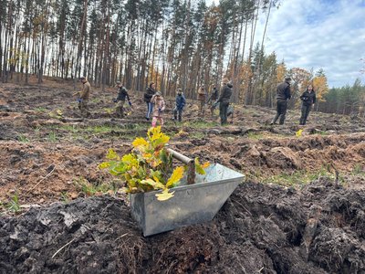 "Робота в задоволення": у лісництві на Черкащині висадили нові дерева "Робота в задоволення": у лісництві на Черкащині висадили нові дерева