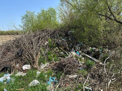 Упродовж місяця поблизу Житомира виявили сім стихійних сміттєзвалищ