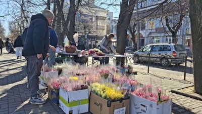 Тюльпани, троянди, нарциси: як у Черкасах працює квітковий ярмарок