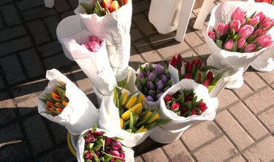 "Торгують усі Черкаси під магазинами": кого в Черкасах штрафують за продаж квітів "Торгують усі Черкаси під магазинами": кого в Черкасах штрафують за продаж квітів