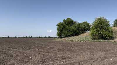 Мов подих вільного степу: курган із червонокнижними рослинами на Черкащині стане пам’яткою природи Мов подих вільного степу: курган із червонокнижними рослинами на Черкащині стане пам’яткою природи