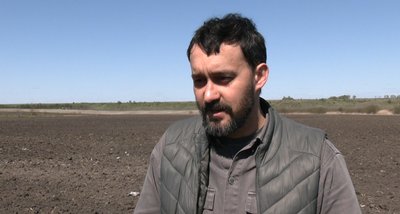Для очищення ґрунтів та як паливо: на Хмельниччині висаджують плантації міскантусу