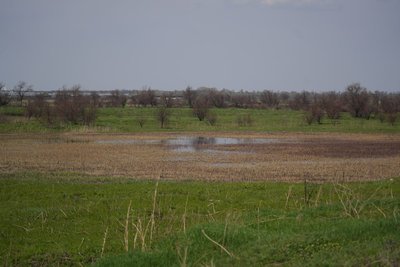 "Водойми — це дуже вразливі екосистеми". Чому на Дніпропетровщині зникають озера та чи можливо їх відновити "Водойми — це дуже вразливі екосистеми". Чому на Дніпропетровщині зникають озера та чи можливо їх відновити