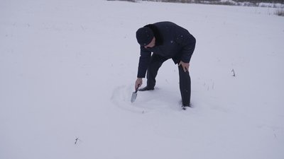 "Кожна сонячна година була на вагу золота": стан озимини попри морози та льодяну кірку на Вінниччині "Кожна сонячна година була на вагу золота": стан озимини попри морози та льодяну кірку на Вінниччині