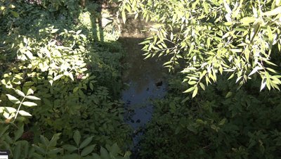 Річка Дзюрава, пересохла водойма, вода, річки Річка Дзюрава, пересохла водойма, вода, річки