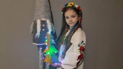 Виставку патріотичних ялинок у режимі онлайн відкривають житомиряни