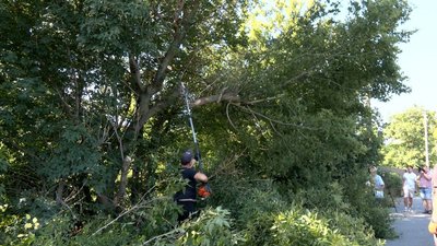 Комунальники та містяни прибирають набережну у Вінниці: що вже зробили Комунальники та містяни прибирають набережну у Вінниці: що вже зробили