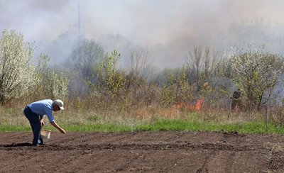 Місцевий мешканець висаджує картоплю на весняному городі Місцевий мешканець висаджує картоплю на весняному городі