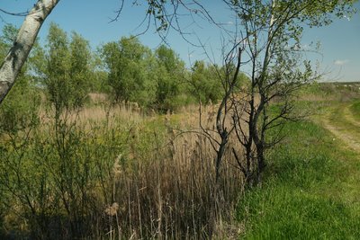 Каховське водосховище – пастка для військових РФ: як Сили оборони зривають штурми на Оріхівському напрямку Каховське водосховище – пастка для військових РФ: як Сили оборони зривають штурми на Оріхівському напрямку