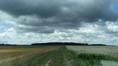 "Зараз ціна 40 грн/кг і ніхто їхати сюди не хоче": як пасічникує житель Чернігівщини біля кордону з Росією "Зараз ціна 40 грн/кг і ніхто їхати сюди не хоче": як пасічникує житель Чернігівщини біля кордону з Росією