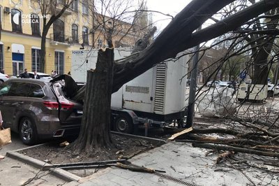 В Одесі дерево впало на дах магазину та пошкодило авто В Одесі дерево впало на дах магазину та пошкодило авто