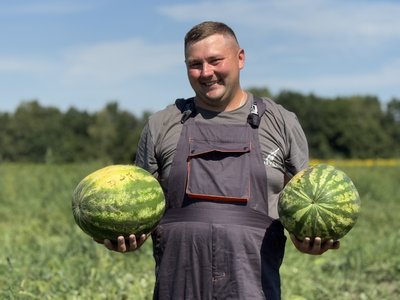 Вага найбільшого кавуна — майже 15 кг: як фермер на Роменщині вирощує кавуни та дині Вага найбільшого кавуна — майже 15 кг: як фермер на Роменщині вирощує кавуни та дині