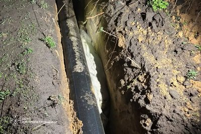 На Дніпропетровщині рятувальники визволили корову, яка впала у траншею