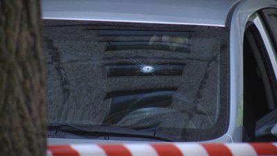 В одному з мікрорайонів Житомира сталася стрілянина: що відомо В одному з мікрорайонів Житомира сталася стрілянина: що відомо
