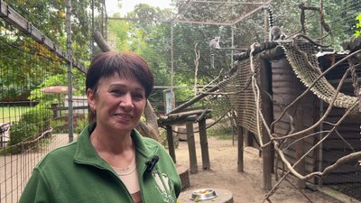 "Це щоденна кропітка робота": людей, які хочуть дбати про тварин, запрошують на роботу у зоопарк Рівного "Це щоденна кропітка робота": людей, які хочуть дбати про тварин, запрошують на роботу у зоопарк Рівного