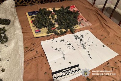 Вирощували та зберігали наркотики: підозрюють двох мешканців Дніпропетровщини Вирощували та зберігали наркотики: підозрюють двох мешканців Дніпропетровщини