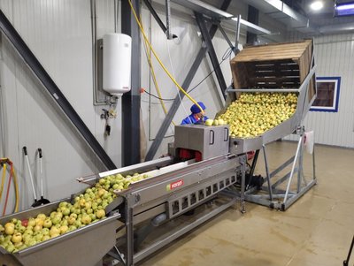 Посуха скоротила врожай на 20%. На Кіровоградщині завершили збирати яблука Посуха скоротила врожай на 20%. На Кіровоградщині завершили збирати яблука
