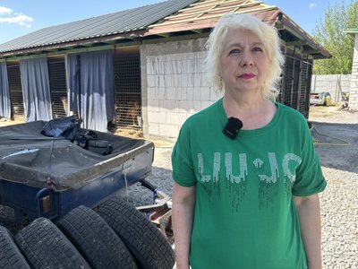 Поблизу Кременчука волонтери будують притулок для безпритульних собак та котів Поблизу Кременчука волонтери будують притулок для безпритульних собак та котів