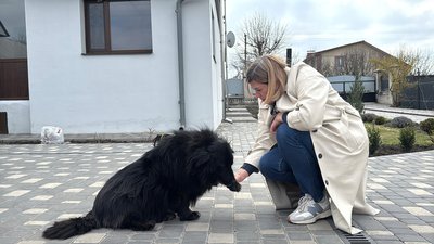 З окопів – у родину: пес з Авдіївки знайшов дім у Кропивницькому З окопів – у родину: пес з Авдіївки знайшов дім у Кропивницькому