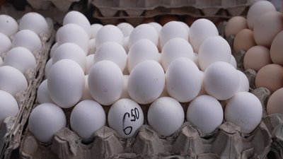 Ціни на продукти до великоднього кошика, тернопільський ринок, 7 квітня 2026 року